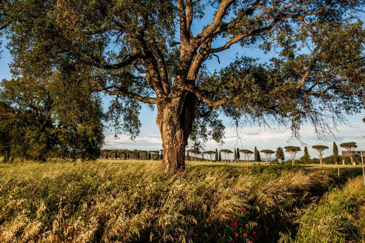 Refugium Countryhouse Podere Cernaia Eksteriør bilde